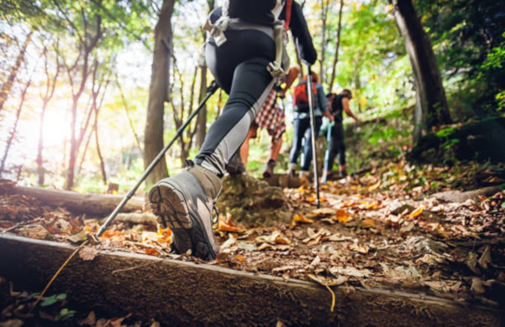 marcheurs dans les bois